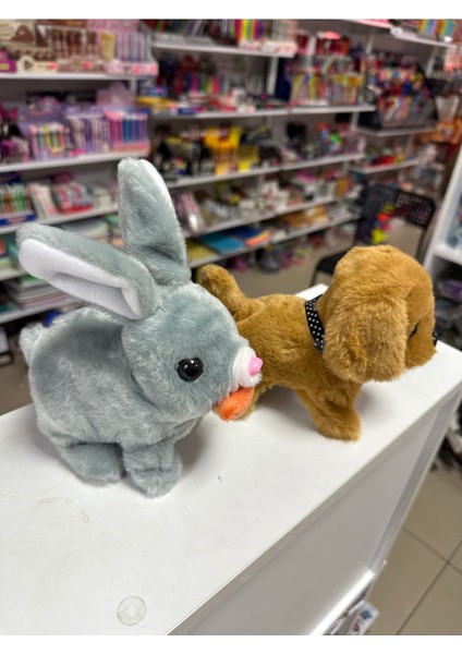 Elite Yürüyen Sesli Isıklı Tavşan ve Köpek Ikıli Set Bebk Emekleme Oyuncagı Sesli Isıklı Set 1 Adet fiyatları