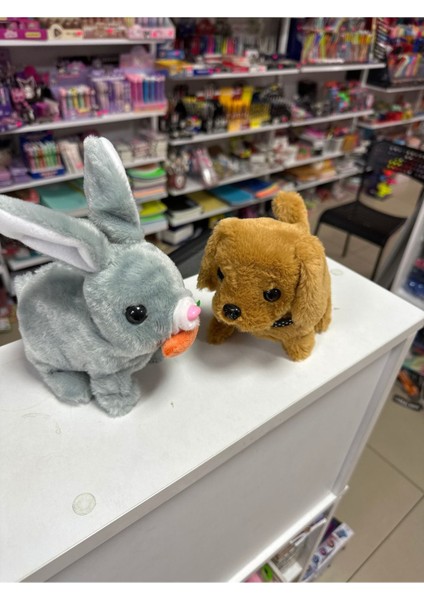 Elite Yürüyen Sesli Isıklı Tavşan ve Köpek Ikıli Set Bebk Emekleme Oyuncagı Sesli Isıklı Set 1 Adet modelleri
