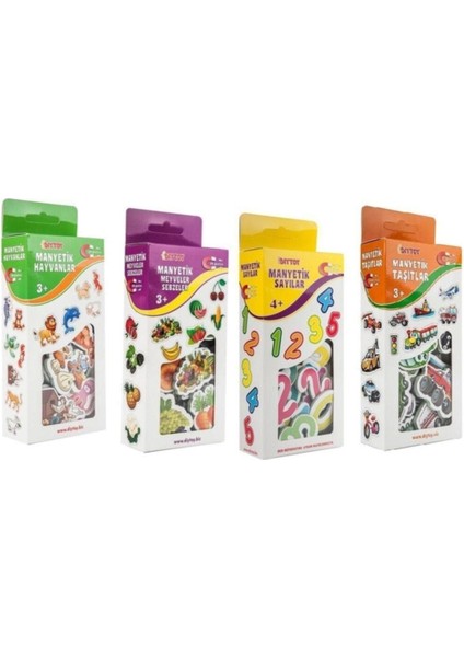 Elite Eğitici Manyetik 4 Farklı Set 1 Adet
