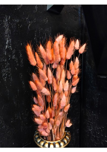 Doğal Kurutulmuş Pamuk Otu, Tavşan Kuyruğu Gelin Buketi Aranjman Çiçeği Lagurus Otu Çiçeği