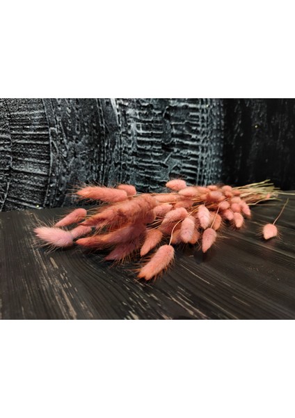 Doğal Kurutulmuş Pamuk Otu, Tavşan Kuyruğu Gelin Buketi Aranjman Çiçeği Lagurus Otu Çiçeği fiyatları