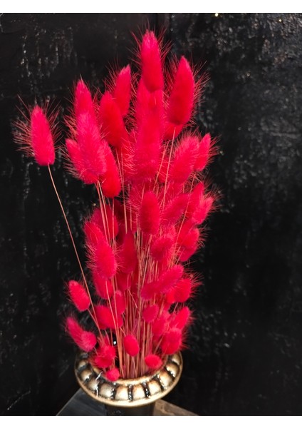 Doğal Kurutulmuş Pamuk Otu, Tavşan Kuyruğu Gelin Buketi Aranjman Çiçeği Lagurus Otu Çiçeği