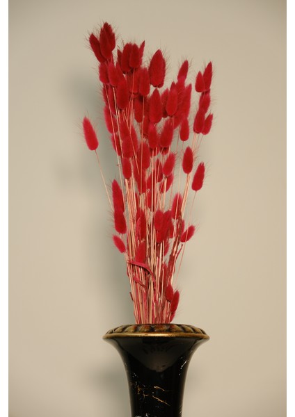 Doğal Kurutulmuş Pamuk Otu, Tavşan Kuyruğu Gelin Buketi Aranjman Çiçeği Lagurus Otu Çiçeği indirimleri