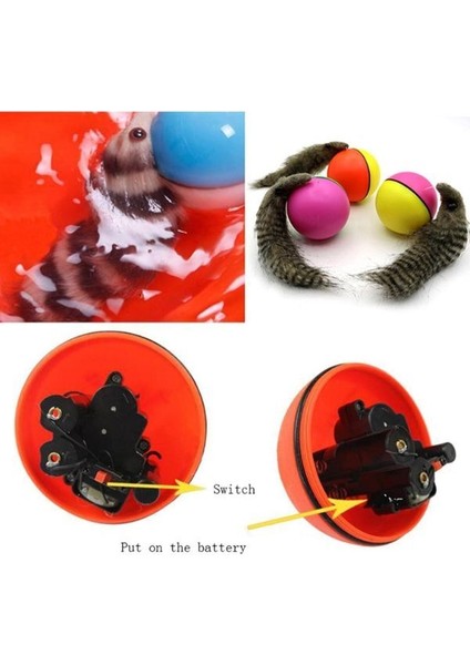 Hareketli Rakun Kedi Köpek Oyuncak fırsatları