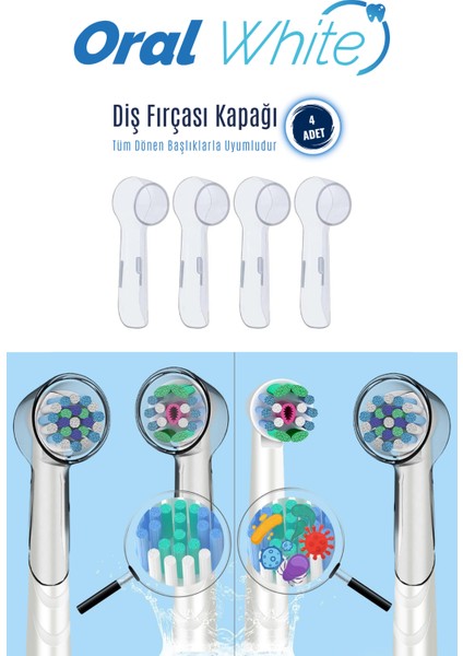 Diş Fırçası Kapağı 4 Adet