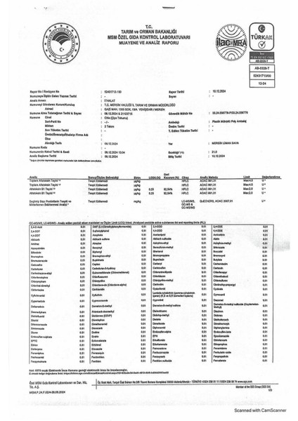 1 Kg Chia Tohumu - Türkiye Menşeli, Glutensiz, Organik ve Yüksek Proteinli Sağlıklı Beslenme İçin fırsatları