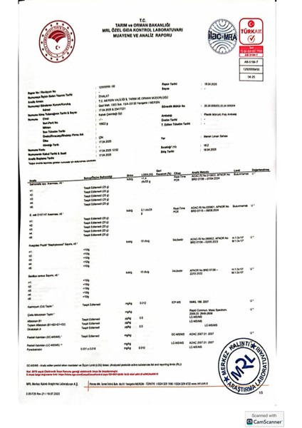 Kabak Çekirdeği İçi 500gr (Çiğ, Tuzsuz) fırsatları