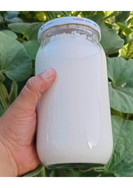 Safa Hatay Yöresel Hatay Organik Tuzluyoğurt 1kg