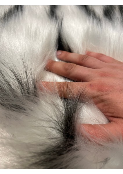Tiger Süet Taban, Yıkanabilir Lüks Kaplan Çift Kafa Yumuşacık Kürk Halı Kuzu Post 80X150