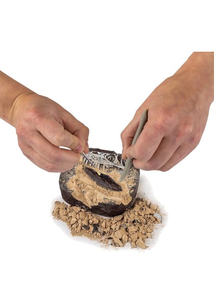 NAT06002 National Geographic Dino Kazı Kiti - Rtngdıno2 +8 Yaş