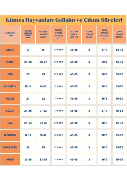 60 Yumurta Kapasiteli Tam Otomatik Kuluçka Makinesi - Civciv, Kaz, Hindi ve Ördek Yetiştiriciliği EPO-W60 fırsatları
