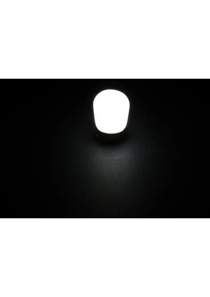 Ct 4261 Cata 2 W Buzdolabı LED Ampul Günışığı 3000K E14 Duy
