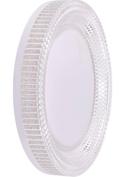 Noas YL14 1224 Kristal Sıva Üstü 24W LED Spot 3 Renk