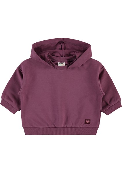 Erkek Bebek Kapüşonlu Sweatshirt 6-18 Ay Koyu Gül Kurusu