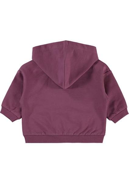 Erkek Bebek Kapüşonlu Sweatshirt 6-18 Ay Koyu Gül Kurusu fiyatları
