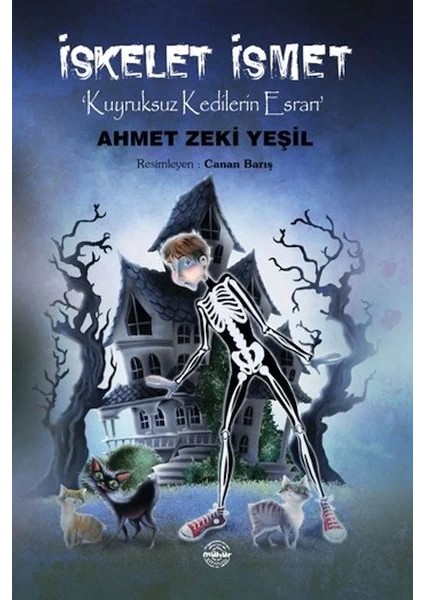 Iskelet Ismet