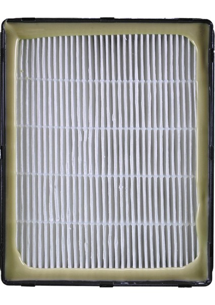 | Fakir Prestige 2000 Uyumlu Hepa Filtre