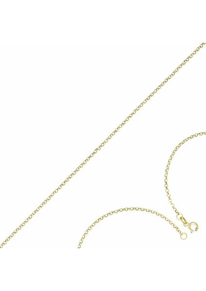 Altın Zincir T074832