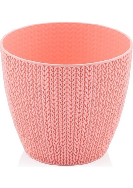 Serınova Sümela Saksı 2 No Gül Kurusu