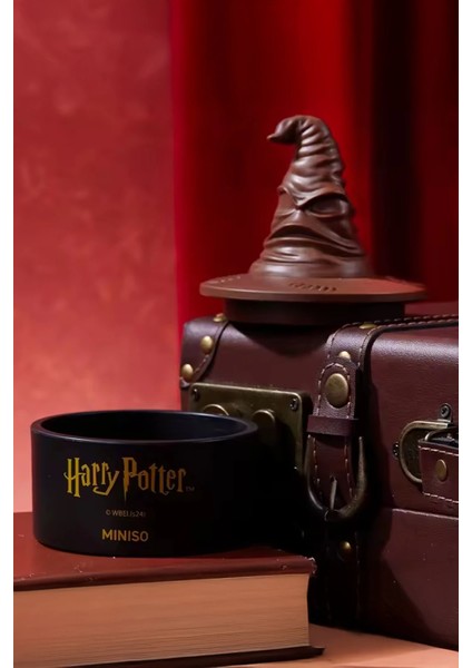 Harry Potter Lisanslı Saklama Kutusu (Seçmen Şapka) indirimleri