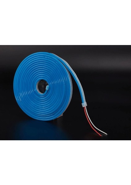 5 Metre Noas YL42 0123 12V Neon LED Mavi