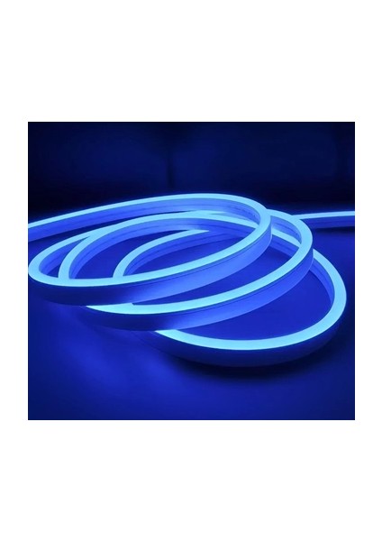 5 Metre Noas YL42 0123 12V Neon LED Mavi