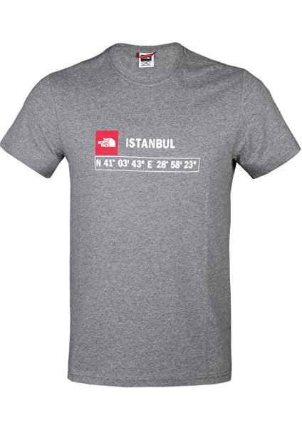 M Gps Tee Istanbul Rec Erkek Günlük Tişört NF0A7ZC2DYY1 Gri