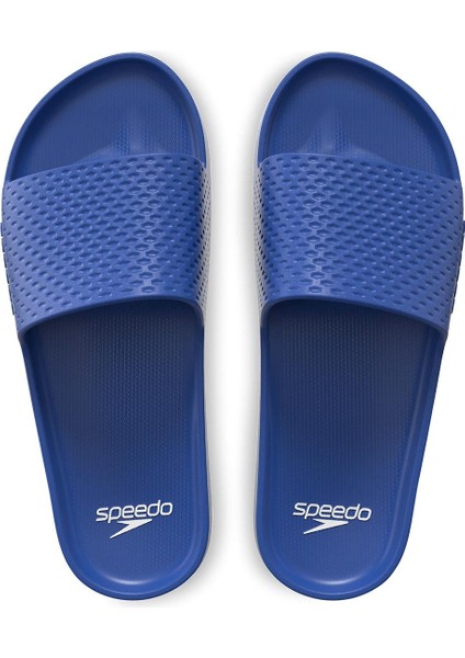 Slides Ent Terlik - 8-00377716056