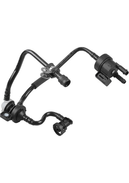06H906517AA B6 A3 Için Karbon Kutulu Solenoid Valf (Yurt Dışından)