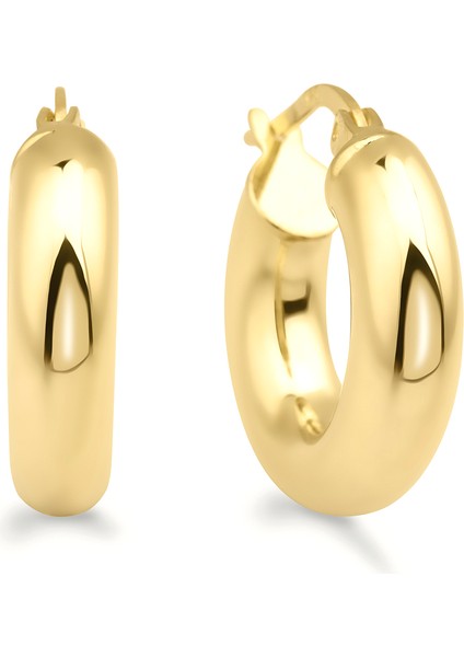 Küpe 22E019G fiyatları