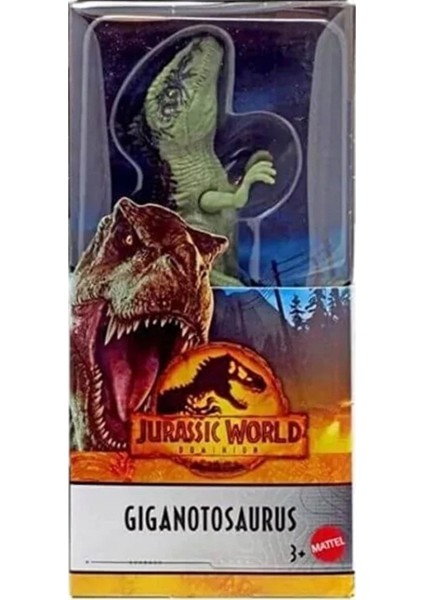Elite 3'lü Set Mattel Orijinal Lisanslı Oyuncak Dinozor Figürü Dinozorlar Figür Orjinal 3lü 1 Adet indirimleri