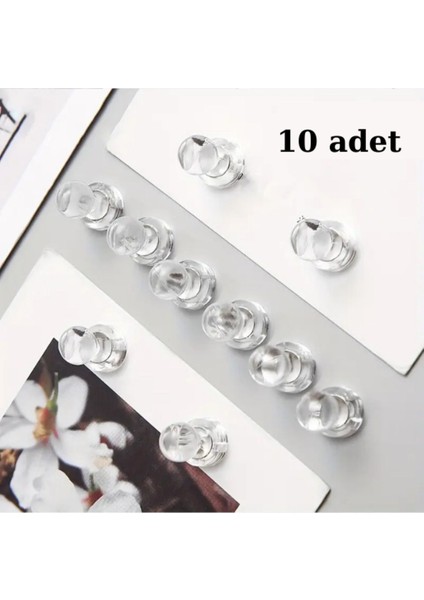 Elite 10 Adet Buzdolabı Magneti - Buzdolabı Süsü, Buzdolabı Mıknatısı- Pano Mıknatıs 1 Adet