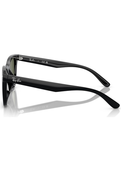 4420 601/9A 65 Unisex Güneş Gözlüğü fiyatları
