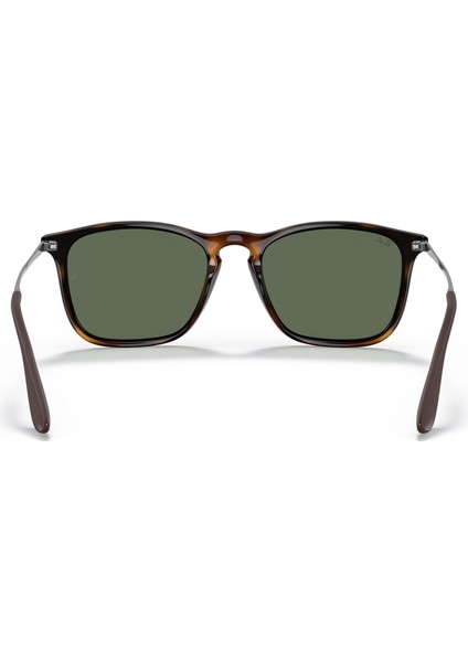 Rb 4187 71071 54 Chris Unisex Kahverengi Güneş Gözlüğü
