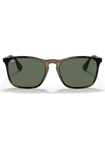 Rb 4187 71071 54 Chris Unisex Kahverengi Güneş Gözlüğü