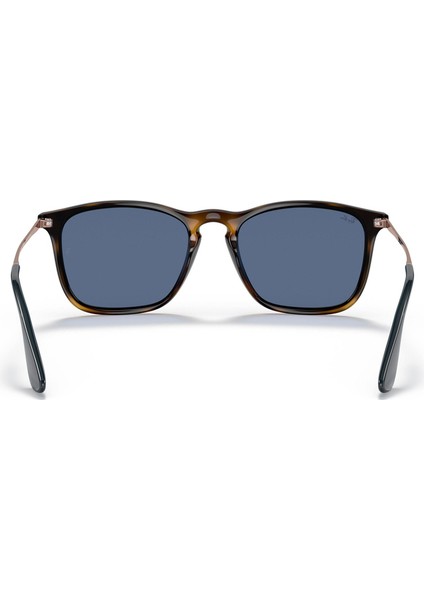 Rayban RB4187 Erkek Güneş Gözlüğü modelleri
