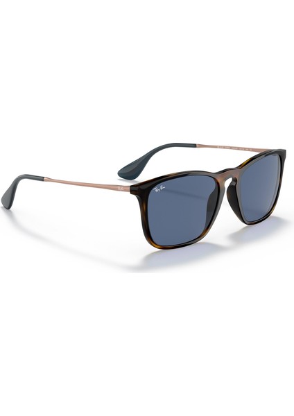 Rayban RB4187 Erkek Güneş Gözlüğü fırsatları