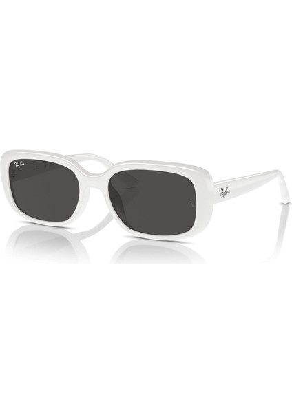 4421D 677287 56 Unisex Güneş Gözlüğü Unisex Güneş Gözlüğü