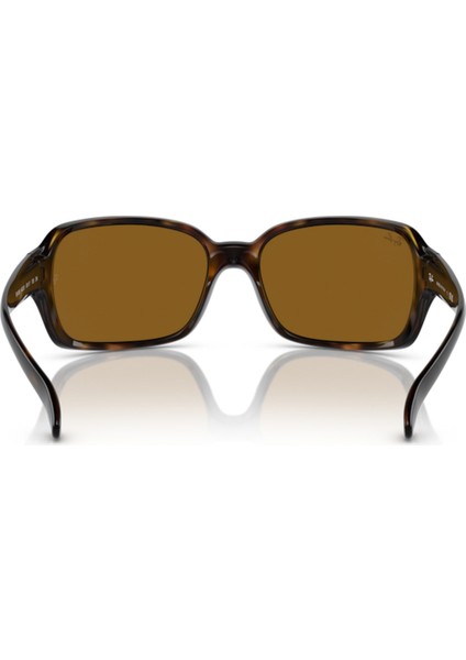 4068 642/33 60 Kadın Güneş Gözlüğü modelleri