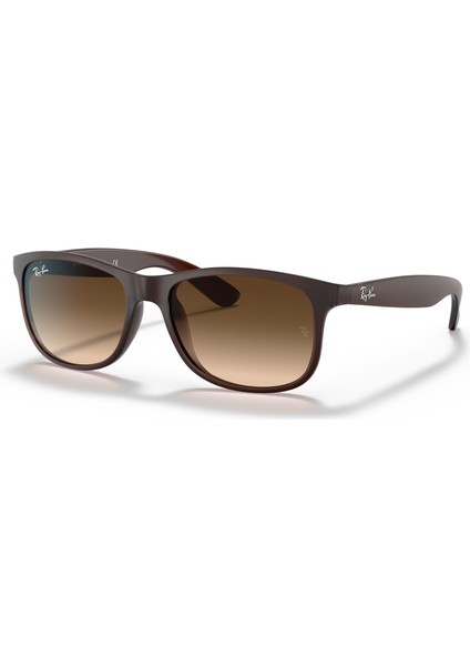 RAYBAN 4202 607313 55