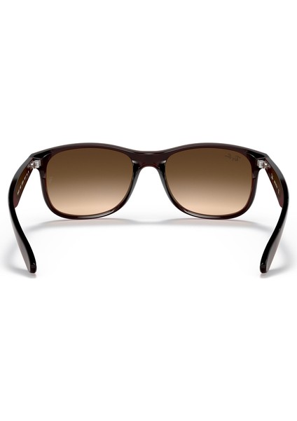 RAYBAN 4202 607313 55 modelleri