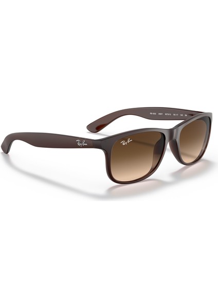 RAYBAN 4202 607313 55 fırsatları