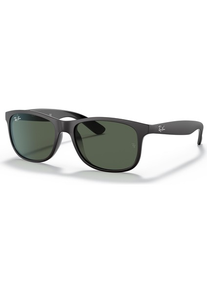 RAYBAN 4202 606971 55