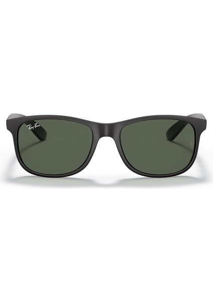 RAYBAN 4202 606971 55 indirimleri