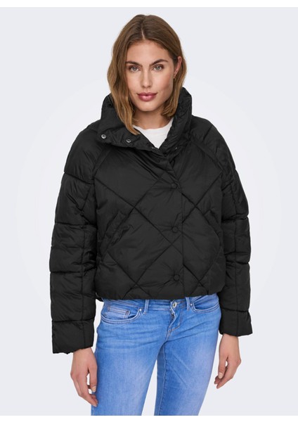 Kadın Mont Carol Puffer 15271107-BLK fiyatları