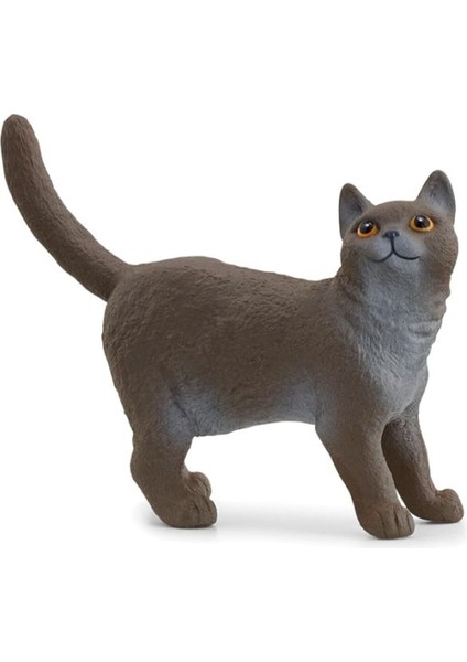 Elite Schleich British Shorthair Kedi, Oyuncak Figür 1 Adet
