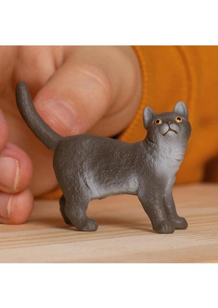 Elite Schleich British Shorthair Kedi, Oyuncak Figür 1 Adet