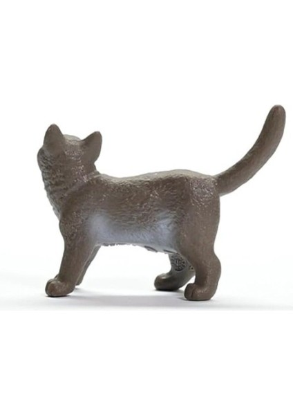 Elite Schleich British Shorthair Kedi, Oyuncak Figür 1 Adet