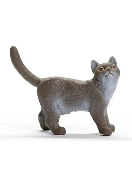 Elite Schleich British Shorthair Kedi, Oyuncak Figür 1 Adet