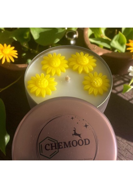 Paçuli Kokulu,ayçiçekli Mum modelleri